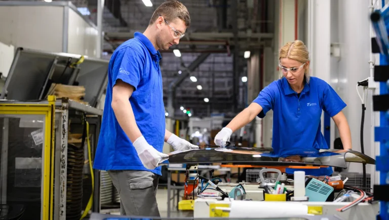 ORGULLOSAMENTE VITRO2